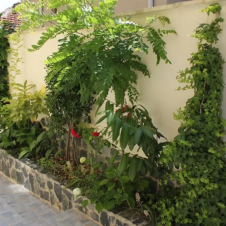 Radik Guest ホテル *